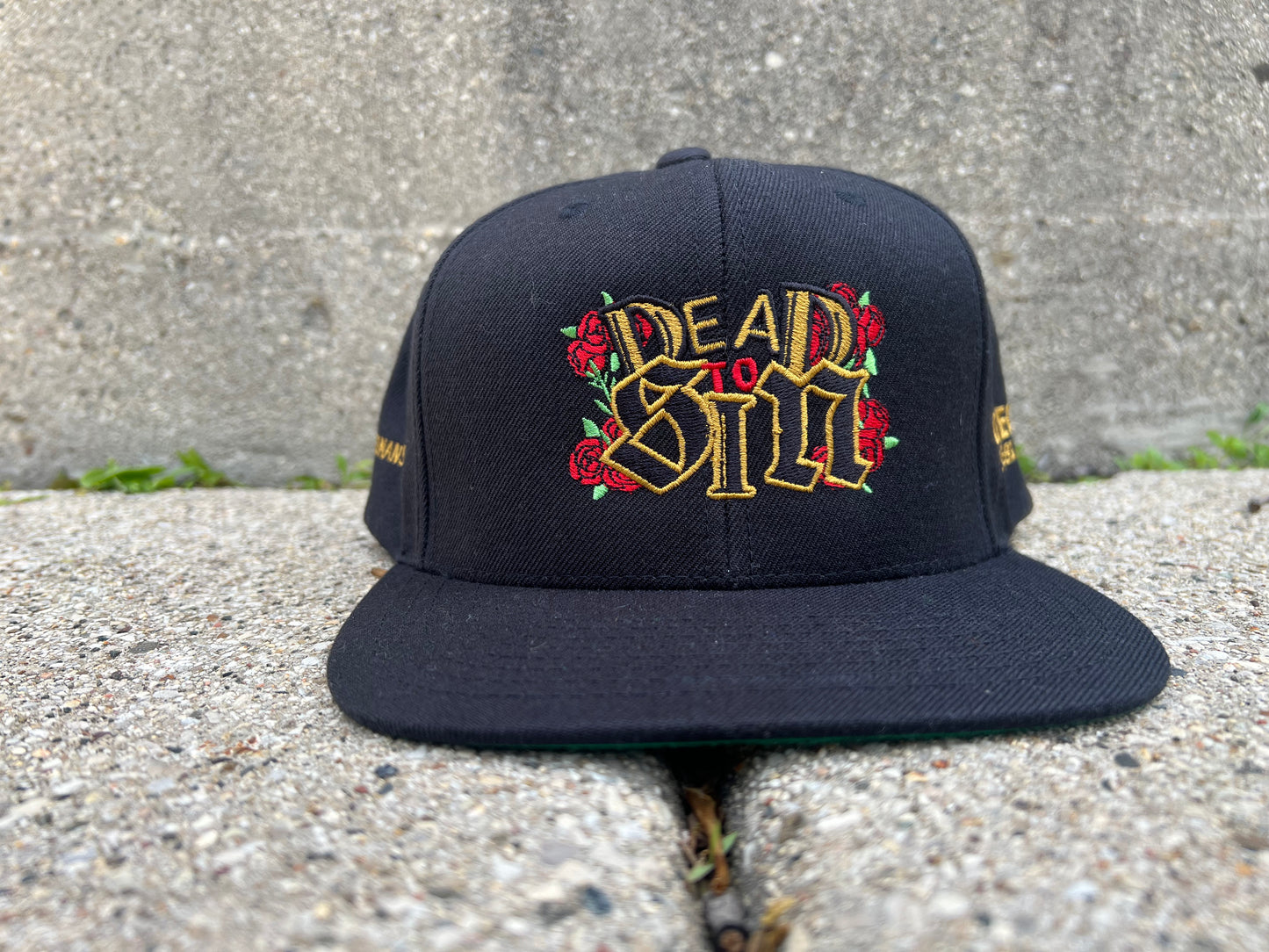Dead to Sin Snapback Hat