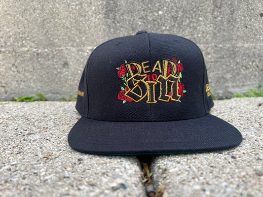 Dead to Sin Snapback Hat